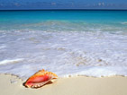 Summer wallpapers70
